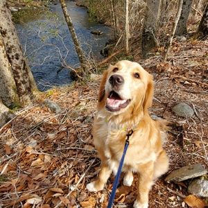 Meet your Posher, Michele